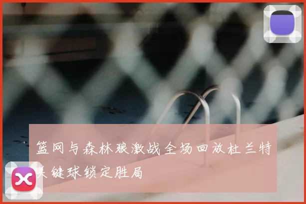 篮网与森林狼激战全场回放杜兰特关键球锁定胜局