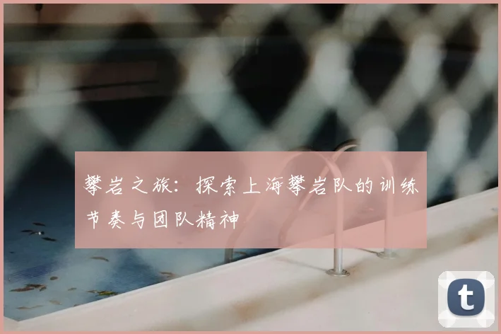 攀岩之旅:探索上海攀岩队的训练节奏与团队精神