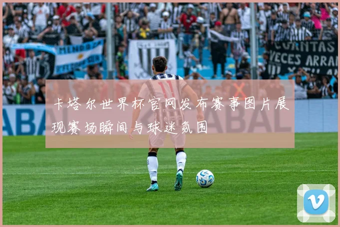 卡塔尔世界杯官网发布赛事图片展现赛场瞬间与球迷氛围